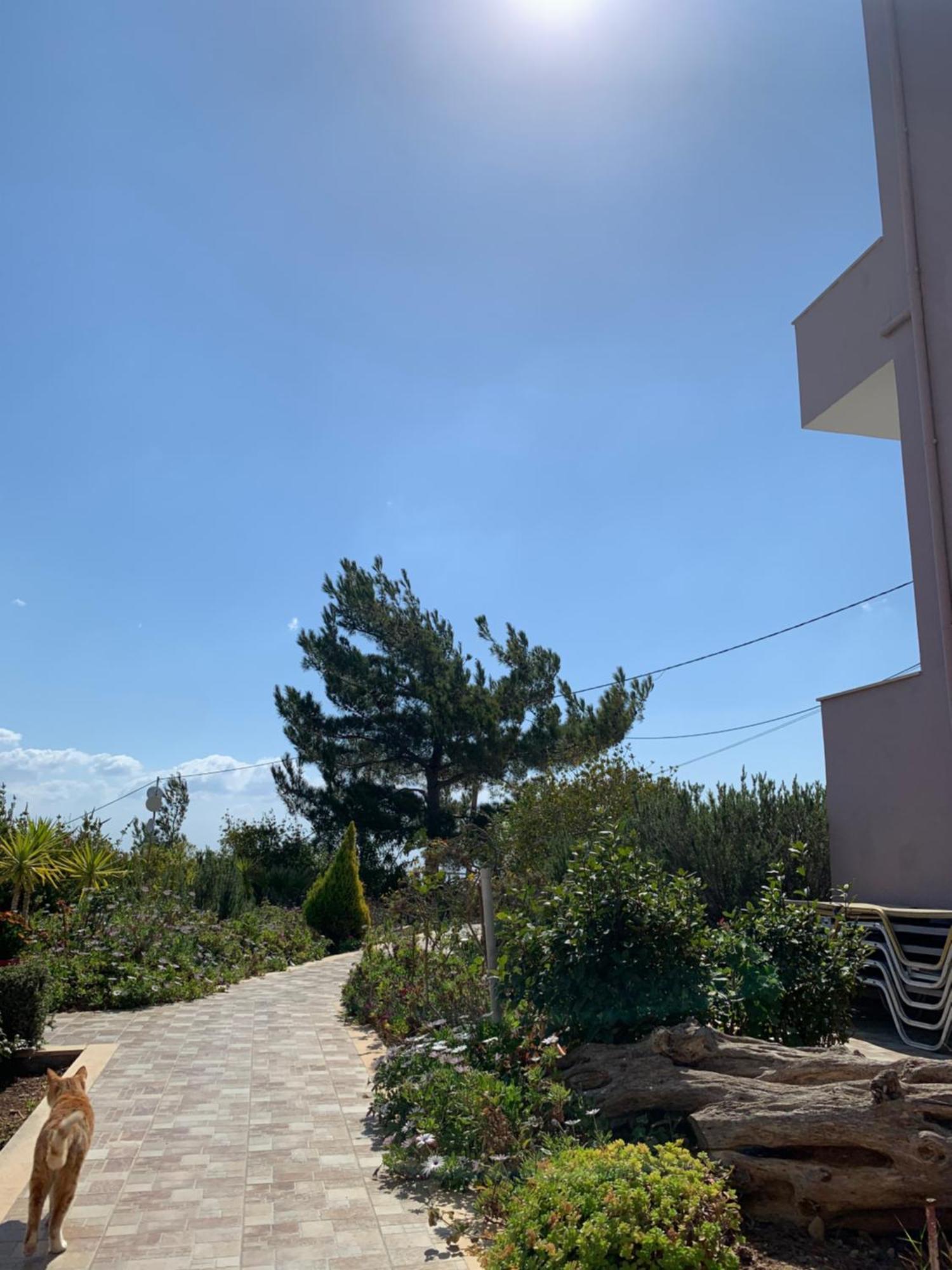 Aliki Appartement *