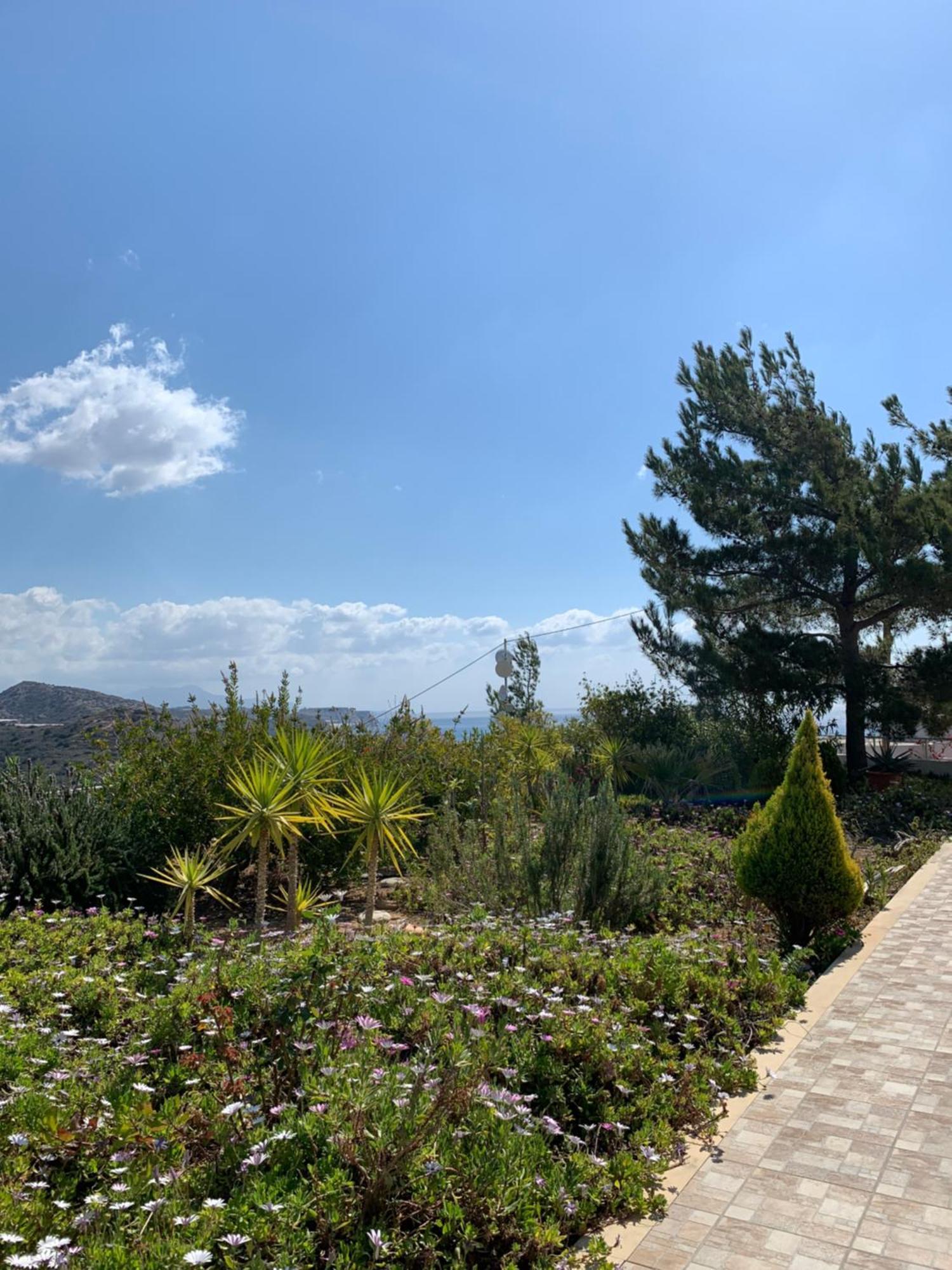 Aliki Myrtos